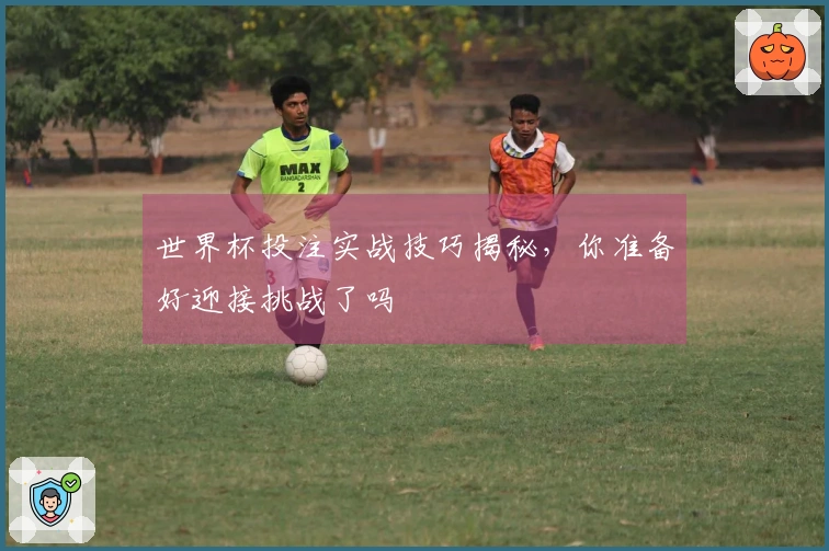世界杯投注实战技巧揭秘，你准备好迎接挑战了吗