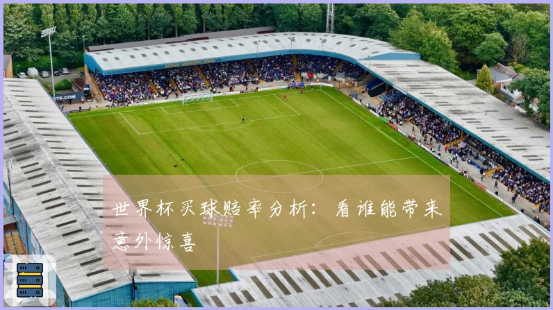 世界杯买球赔率分析：看谁能带来意外惊喜