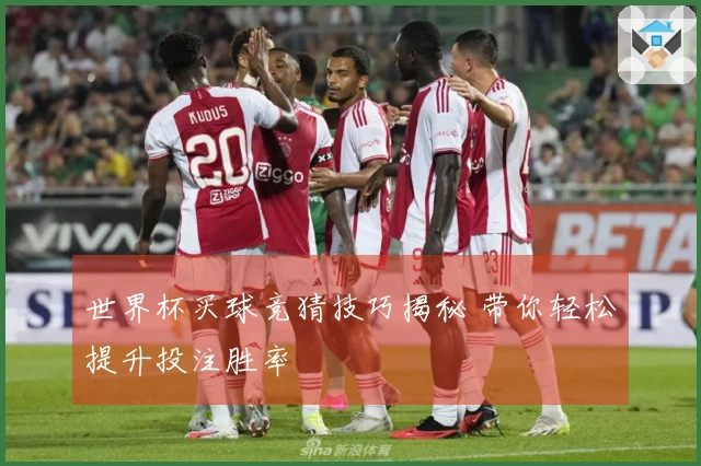 世界杯买球竞猜技巧揭秘 带你轻松提升投注胜率