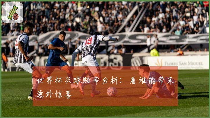 世界杯买球赔率分析：看谁能带来意外惊喜