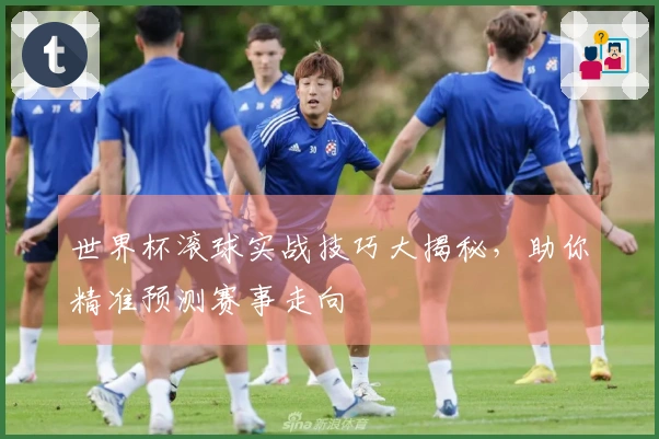 世界杯滚球实战技巧大揭秘，助你精准预测赛事走向