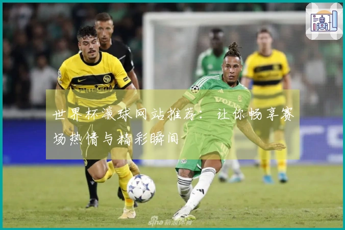 世界杯滚球网站推荐：让你畅享赛场热情与精彩瞬间