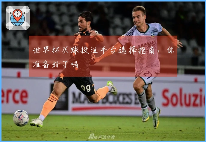 世界杯买球投注平台选择指南，你准备好了吗